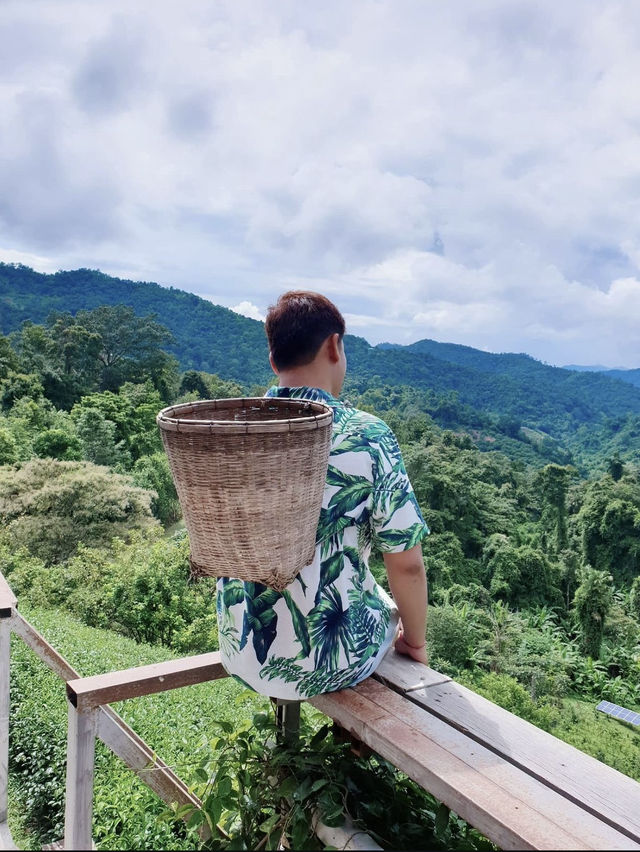 ทริปฮีลใจ 🌱 ไร่ชาลุงเดช อ.แม่แตง จ.เชียงใหม่