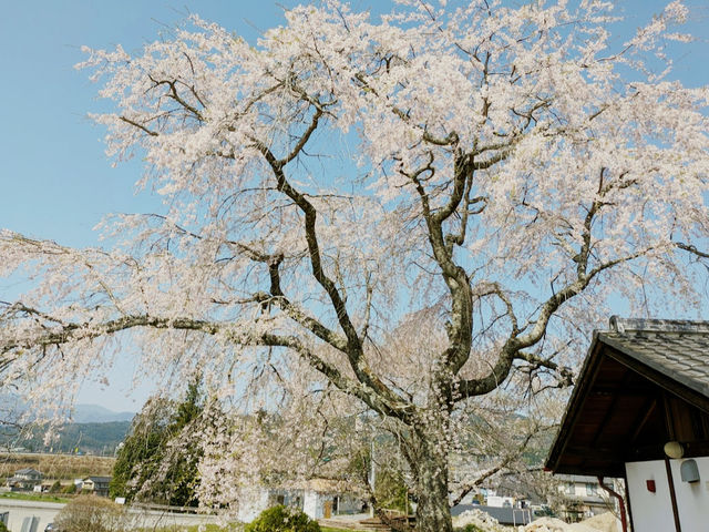 Old Yamamoto Kinehara Schoolhouse 