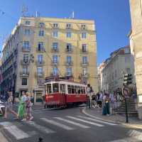 Colourful heart of Lisbon 🌺🦜