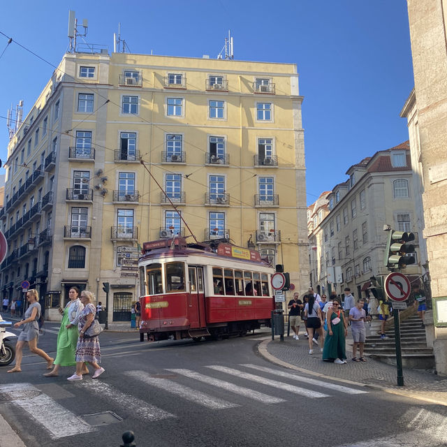 Colourful heart of Lisbon 🌺🦜