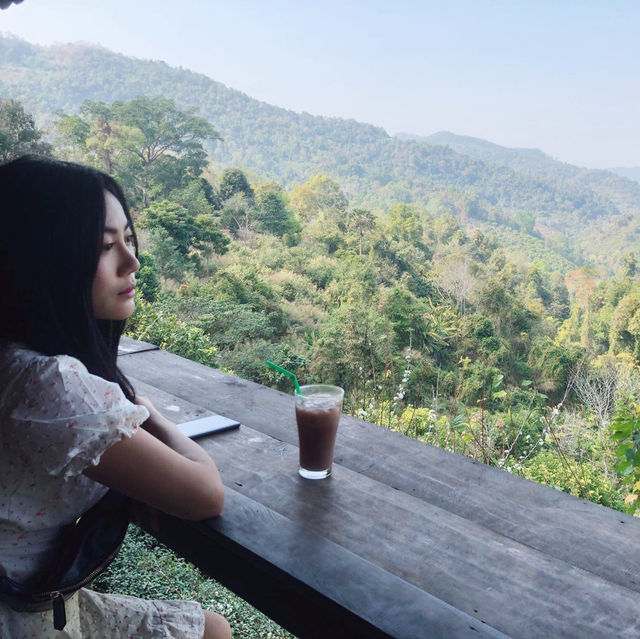 ไร่ชาลุงเดช เชียงใหม่ 🌱