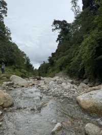 Spring Garden Kundasang, Beautiful floral and landscape