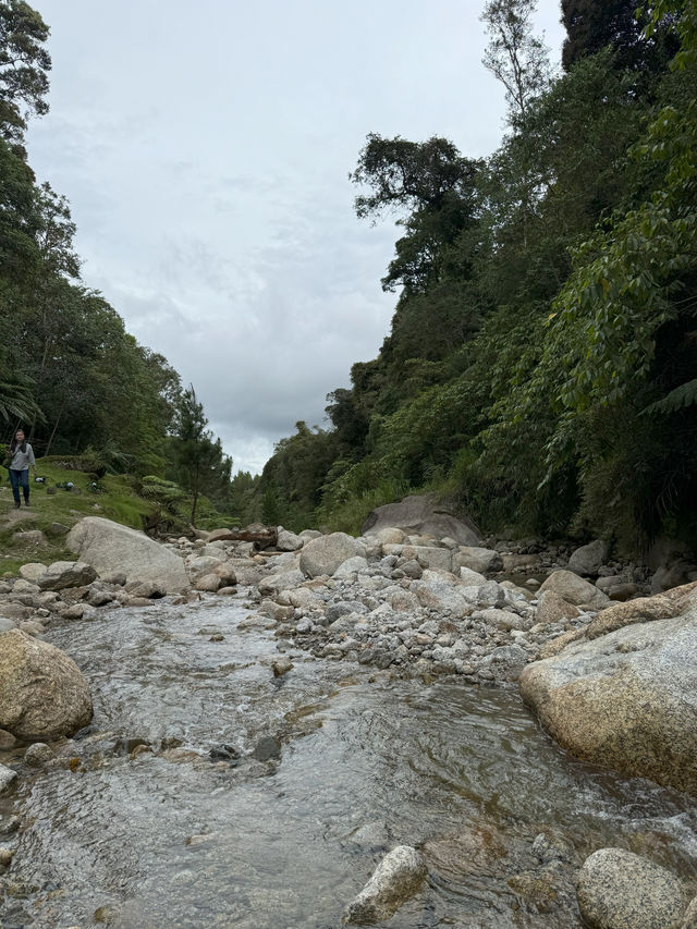 Spring Garden Kundasang, Beautiful floral and landscape