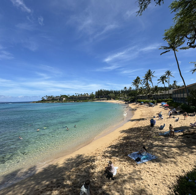 The beautiful island - Maui