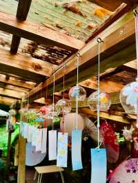 鳥居⛩️から先は神域？✨エメラルドに輝く3つの滝を一度に楽しめる大注目の滝スポット🥹元祖流しそうめん🥰