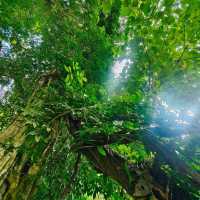 空蘭國家公園瀑布