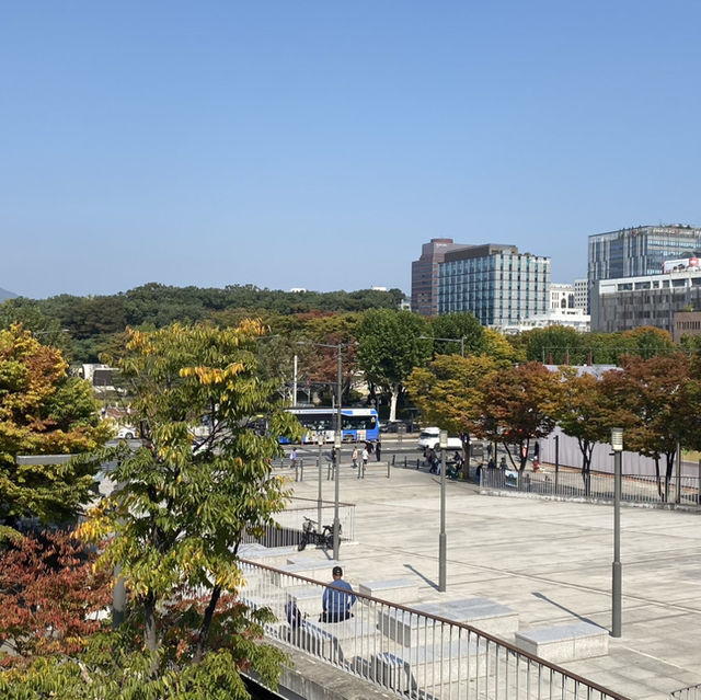 가을의 따뜻함과 이국적인 감성 느낄 수 있는 낭만 가득 보행로, 세운상가🍀