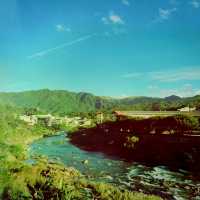 猴硐貓村：與貓咪和美景相遇