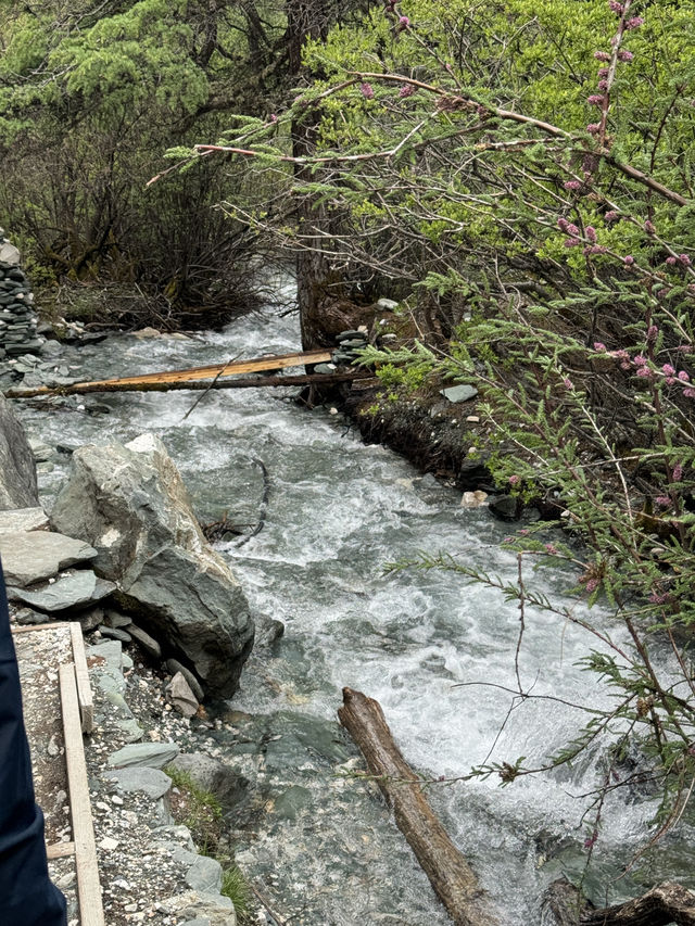 🇨🇳 We did it! Hiking to Milk Lake in Daocheng Yading