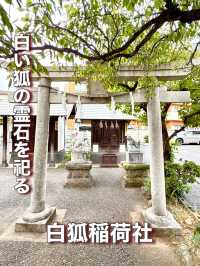 【東京都】白い狐の霊石を祀る神社