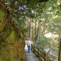 【石川】加賀の自然美を満喫する「こおろぎ橋」