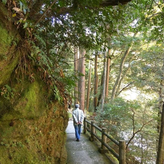 【石川】加賀の自然美を満喫する「こおろぎ橋」