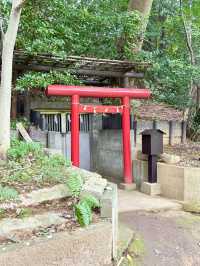 【東京都】練馬区にある自然と触れ合える場所