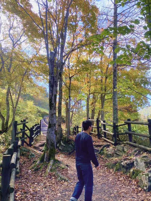 【大スケールの岩盤滝🍃三段滝💧】 