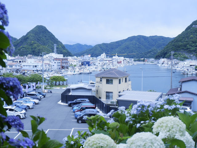 日本六月花海：靜岡縣免費景點