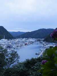 六月限定：日本最大繡球花海