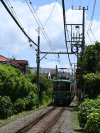 鳥居と江ノ電のコラボが素敵すぎる