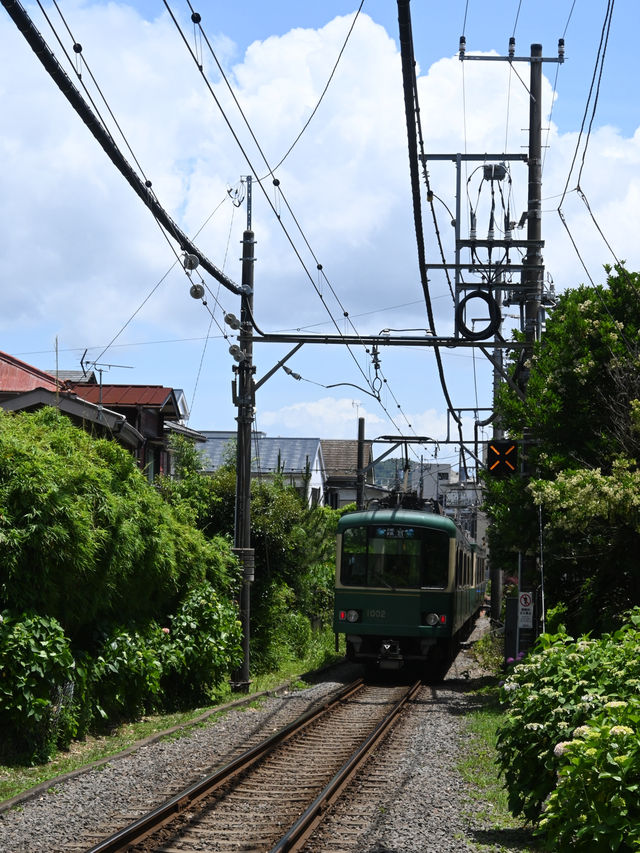鳥居と江ノ電のコラボが素敵すぎる