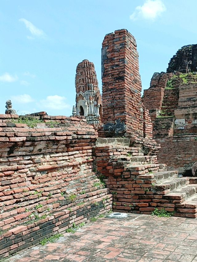 วัดมหาธาตุ |พระนครศรีอยุธยา