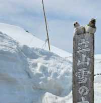 室堂雪之大谷，壯麗雪牆奇景。