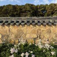 🏯 고즈넉한 역사 산책, 부여 부소산성 🌳