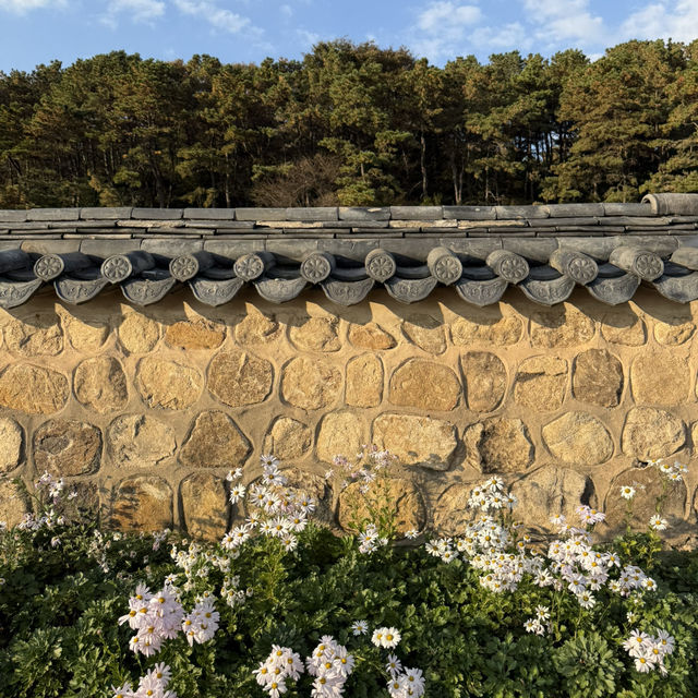 🏯 고즈넉한 역사 산책, 부여 부소산성 🌳