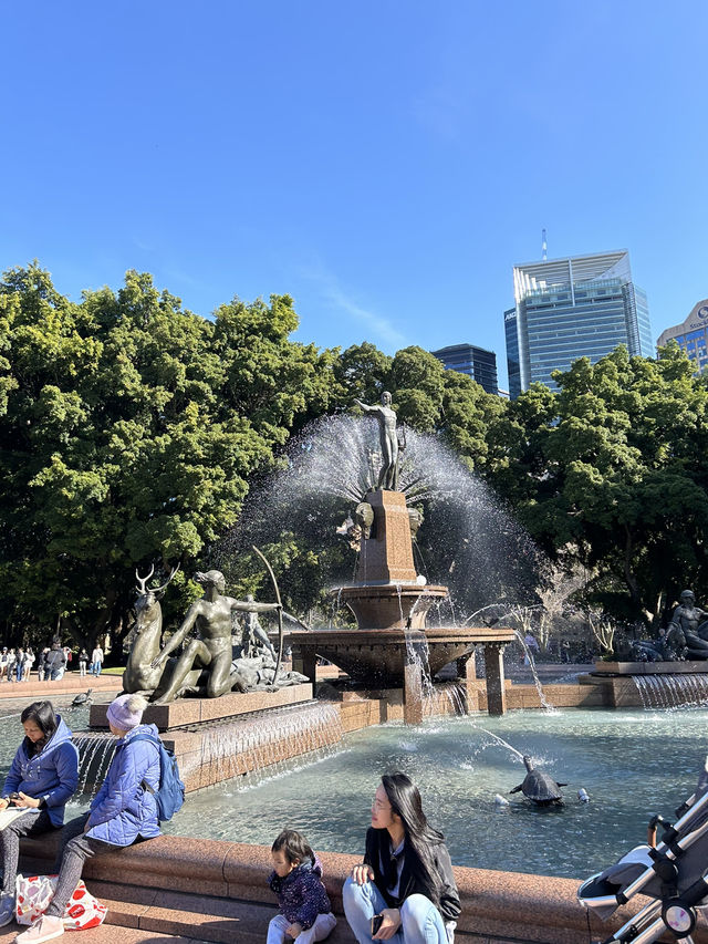 호주 시드니 “아치볼드 분수”⛲️
