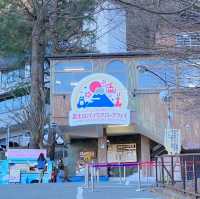 河口湖纜車，俯瞰富士山壯麗美景