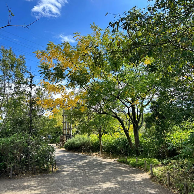靭公園：城市氧吧 🌼🐦