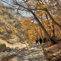 Nature’s best, Seoraksan