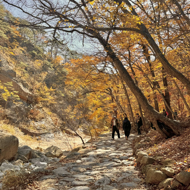 Nature’s best, Seoraksan
