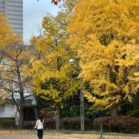 札幌🇯🇵中島公園的日與夜🍁