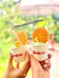 มาหาหมูเด้ง แวะร้านไอติมก่อนถึงได้นะ อร่อยยยย 
