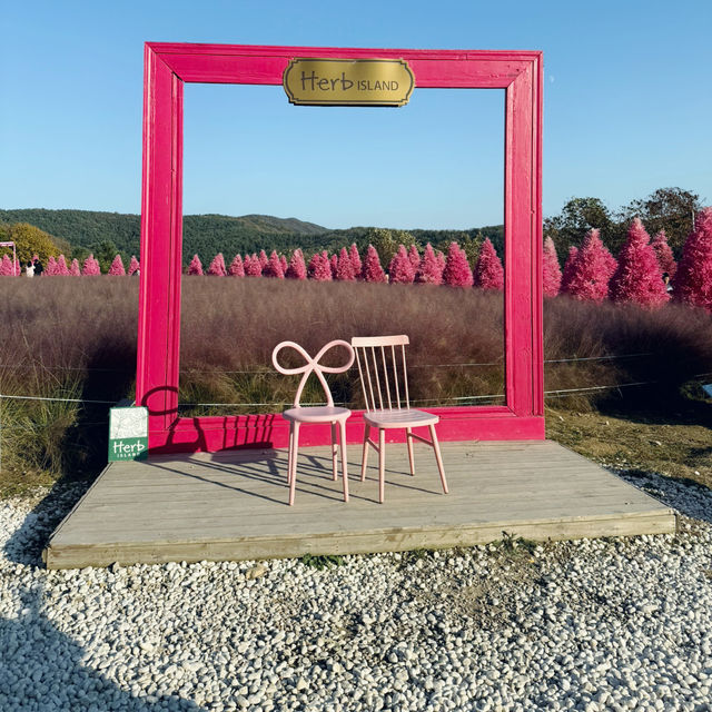 Herb Island: A Serene Escape from Seoul’s Bustle 🇰🇷