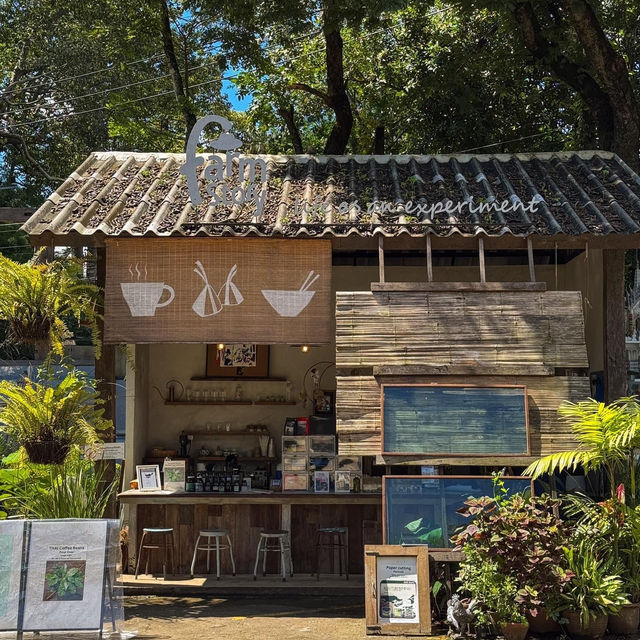 เอาใจสำหรับคนที่ชอบงานคราฟท์ 🍃🎨🥤