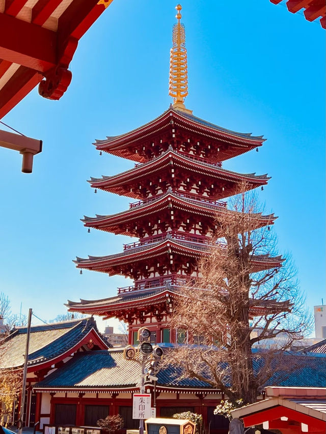 Asakusa: Tokyo’s Historic Heart