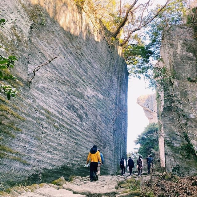 【千葉×鋸山】絶景と運動を楽しむアドベンチャー！