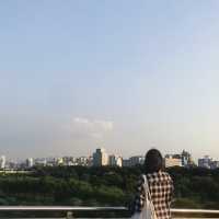 여의도 한강공원 자전거 산책🚲