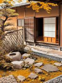 景點推薦：松風園——福岡黃葉季的靜謐庭園之美