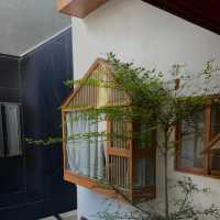 CityHouse-Ariosa 🏨✨@Hochiminh, Vietnam