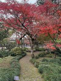 Must see garden in Suzhou 🍁