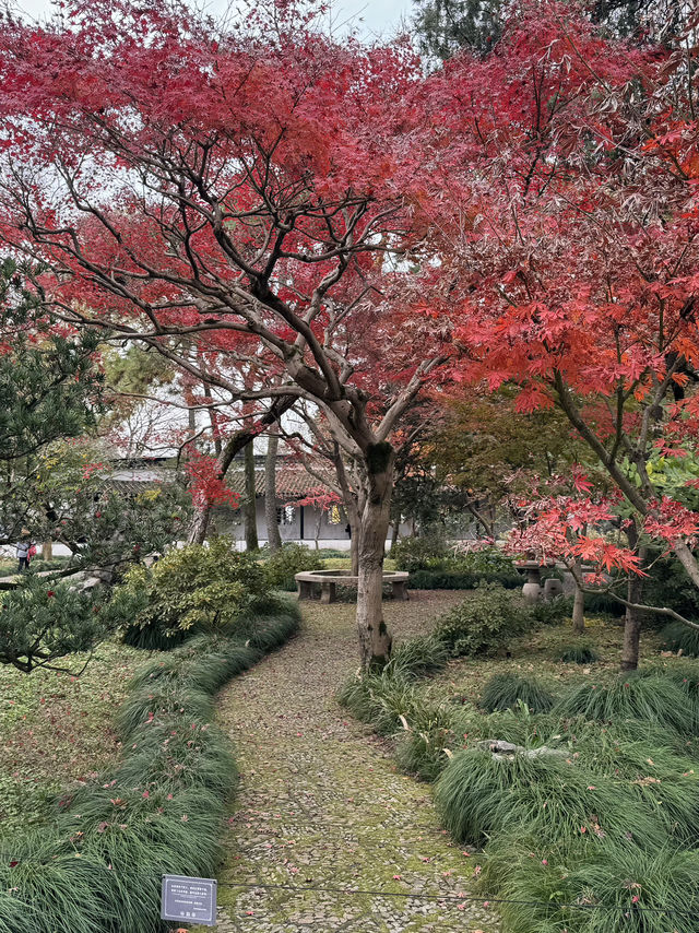 Must see garden in Suzhou 🍁