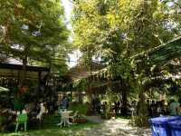 พามาทานอาหารริมลำธารในจังหวัดนครนายก