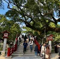 Slow life in Yanagawa and old town charm in Dazaifu