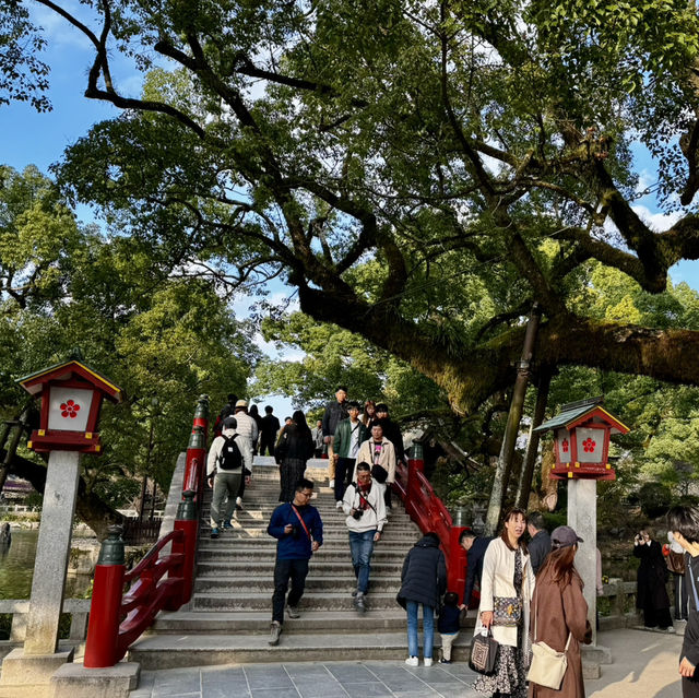 Slow life in Yanagawa and old town charm in Dazaifu