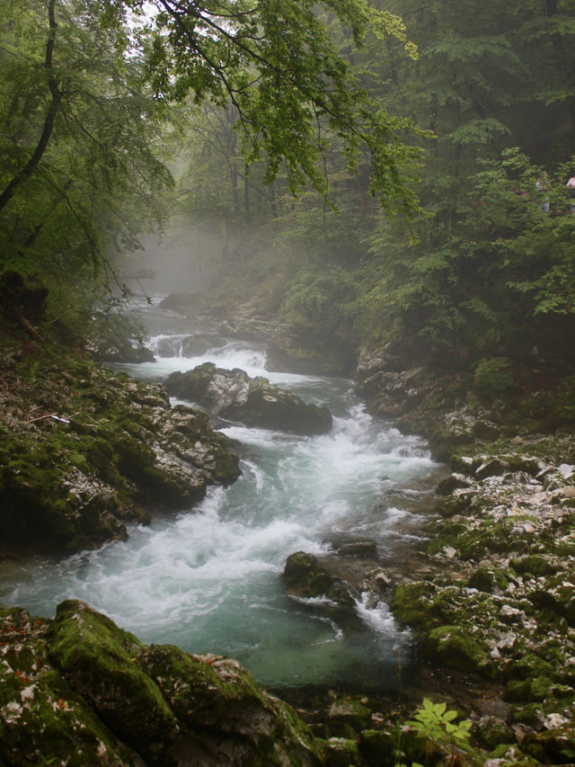 Vintgar Gorge: A Perfect Summer Adventure in Slovenia’s Great Outdoors