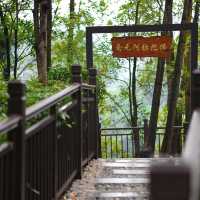  深圳般若禪寺｜鬧市中的靜謐禪境，修心養性的佛門聖地