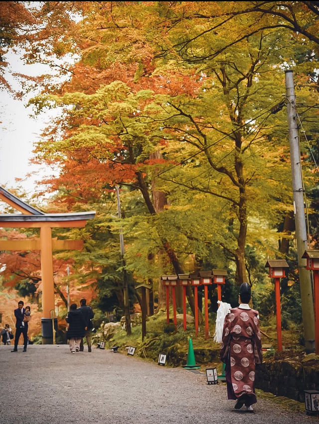【日吉大社】滋賀の紅葉おすすめスポット