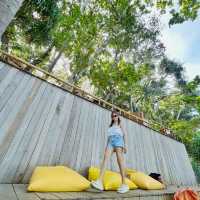 คาเฟ่เสือผืนหมอนใบ