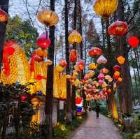 🍵 Tea Lover's Paradise: Discover Heming Tea House in Chengdu